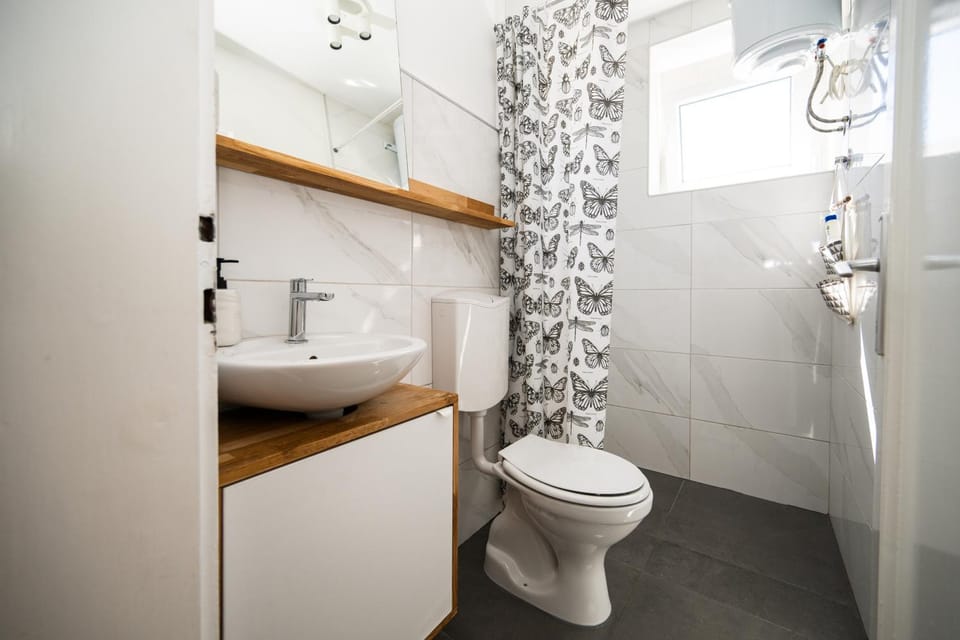 Shower, Toilet, Bathroom, hair dryier