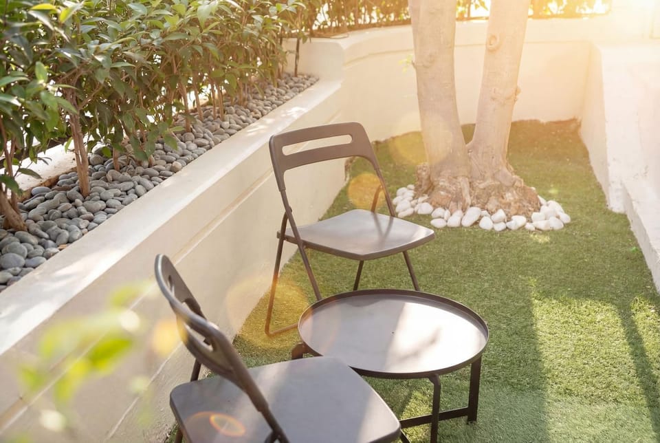 Patio, Day, Garden