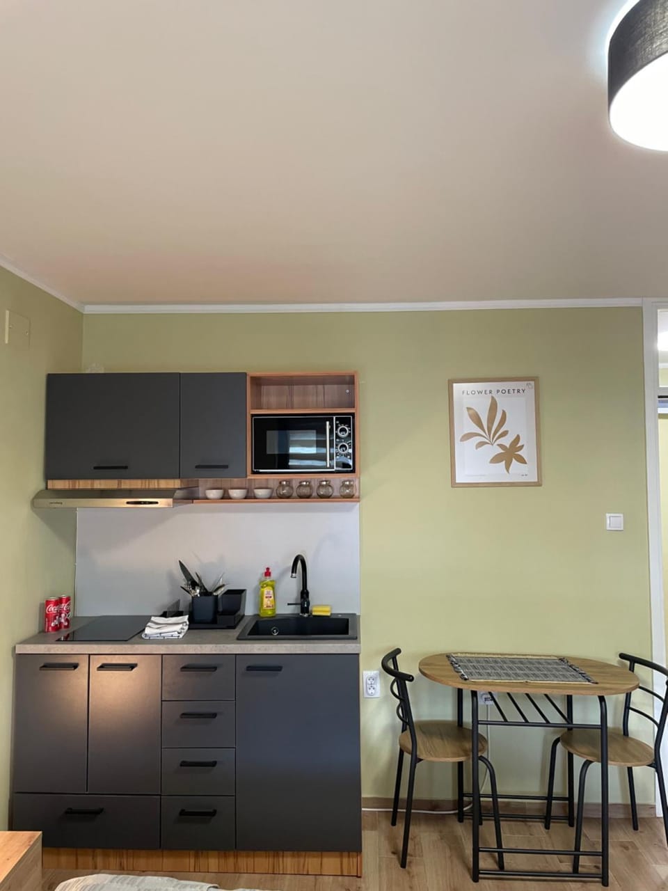 Studio Petra Apartment in Vojvodina