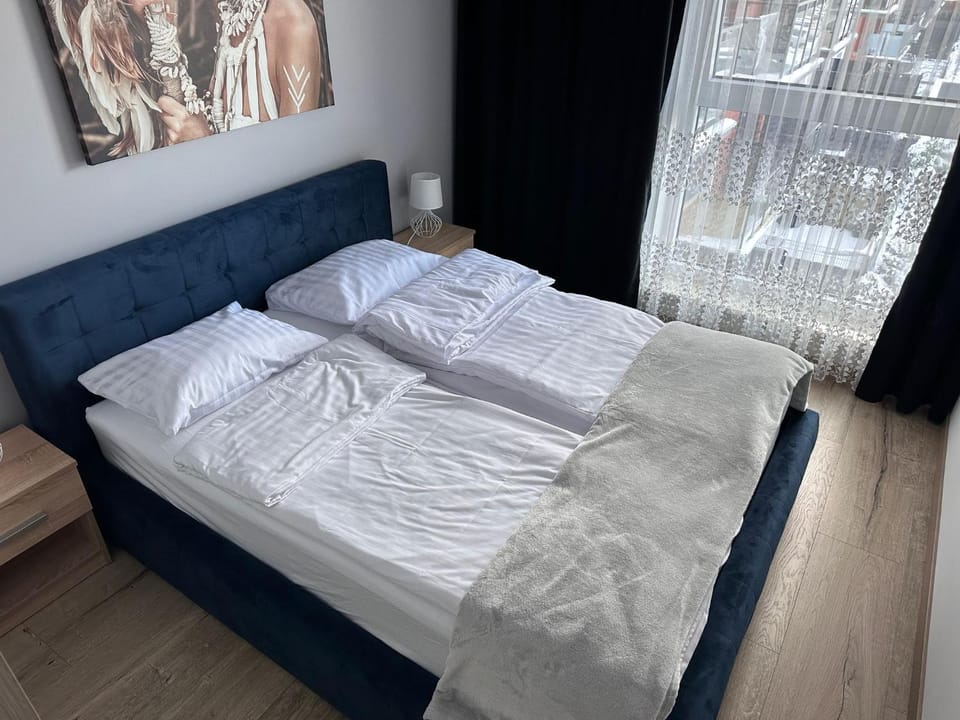 Red Kot Lisia 12 Apartment in Poland