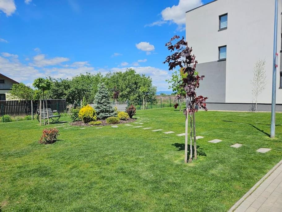 Cozy Stylish Studio Apartment in Brasov
