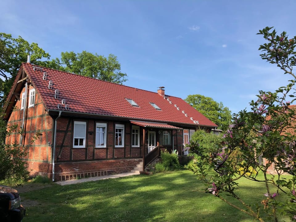 Property building, Garden view