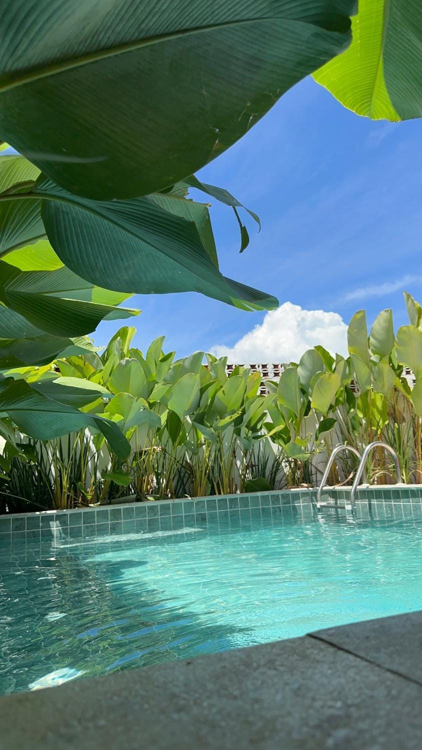 Swimming pool, Swimming pool