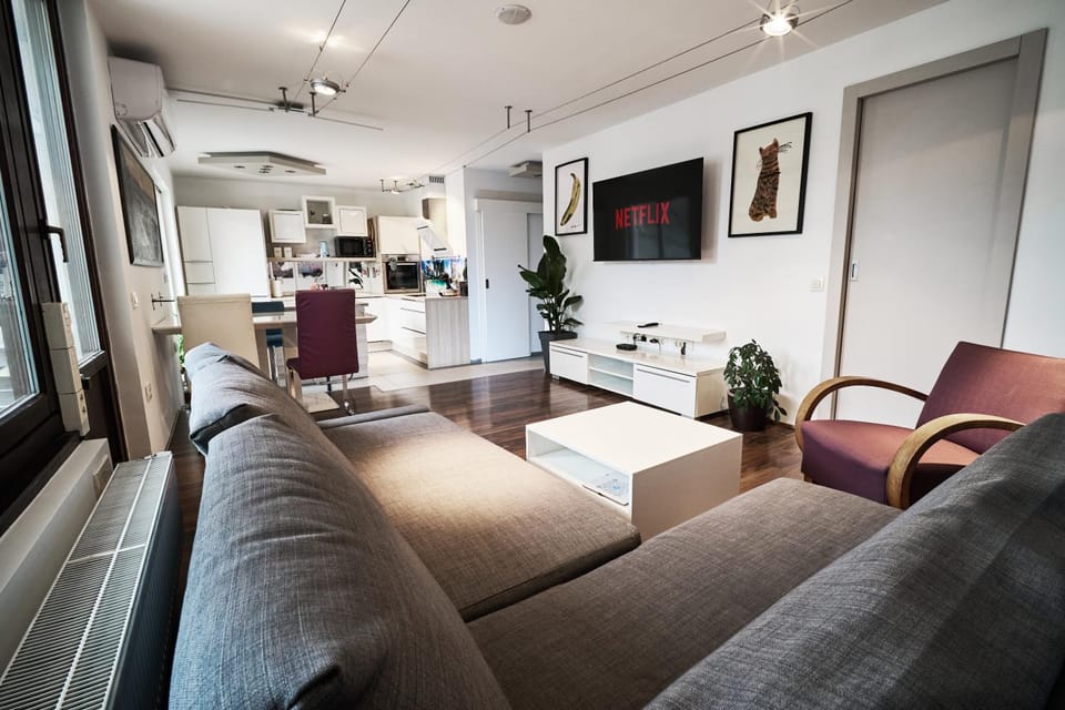 TV and multimedia, Kitchen or kitchenette, Living room, Seating area, Dining area, Evening entertainment, air conditioner