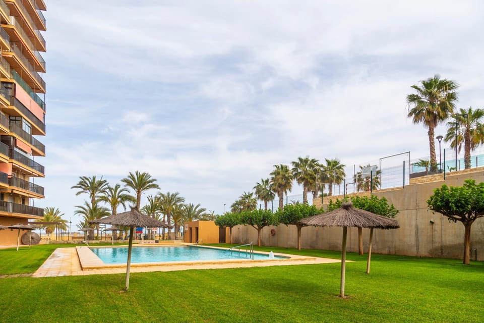 Garden, Garden, Swimming pool