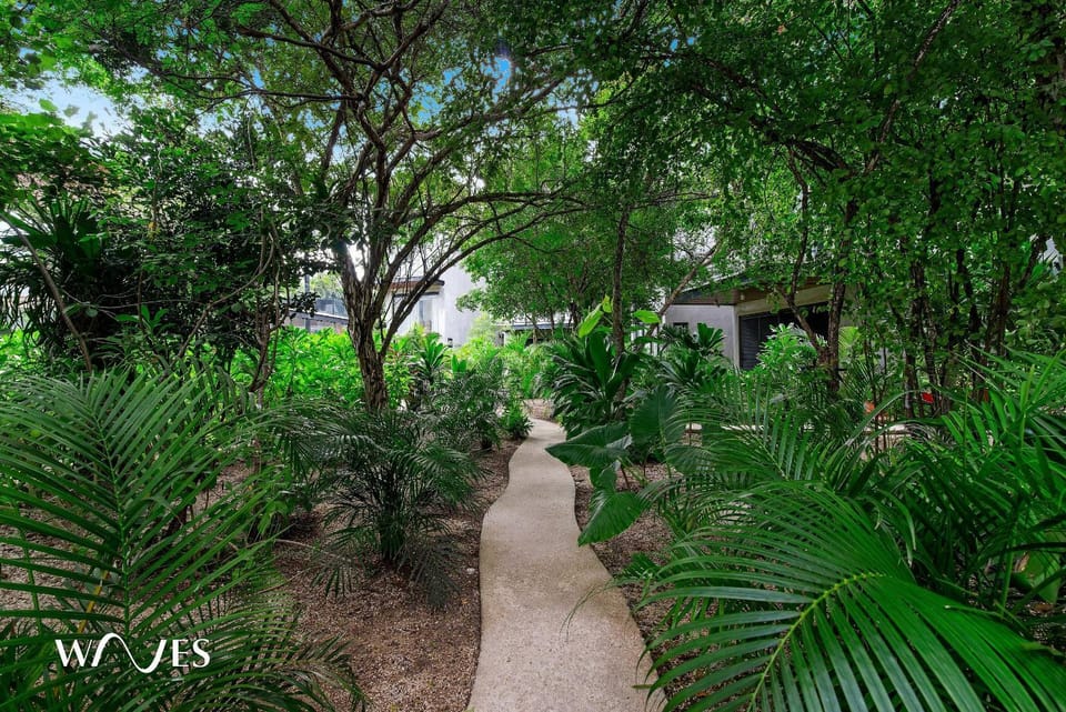 Property building, Garden, Garden view