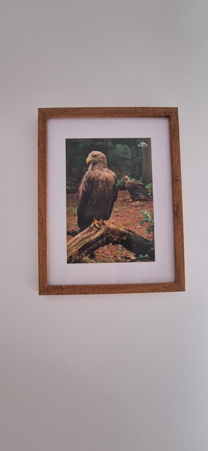 Sielanka Wydmy i Las Apartment in Pomeranian Voivodeship