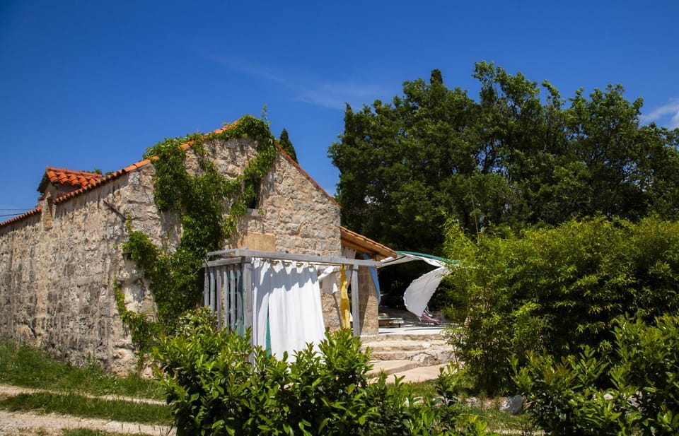 Property building, Garden view
