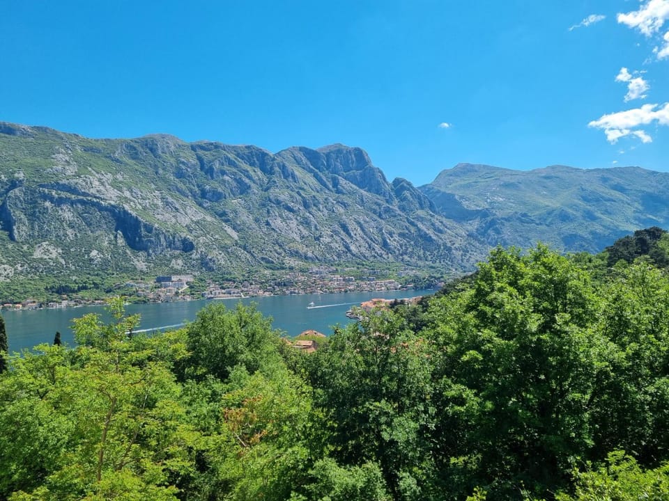 M apartman Apartment in Kotor Municipality