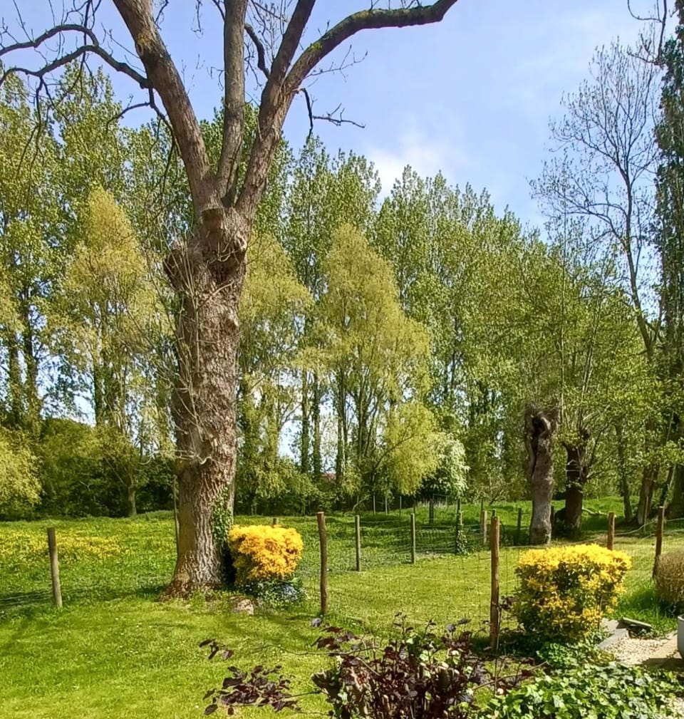 Natural landscape