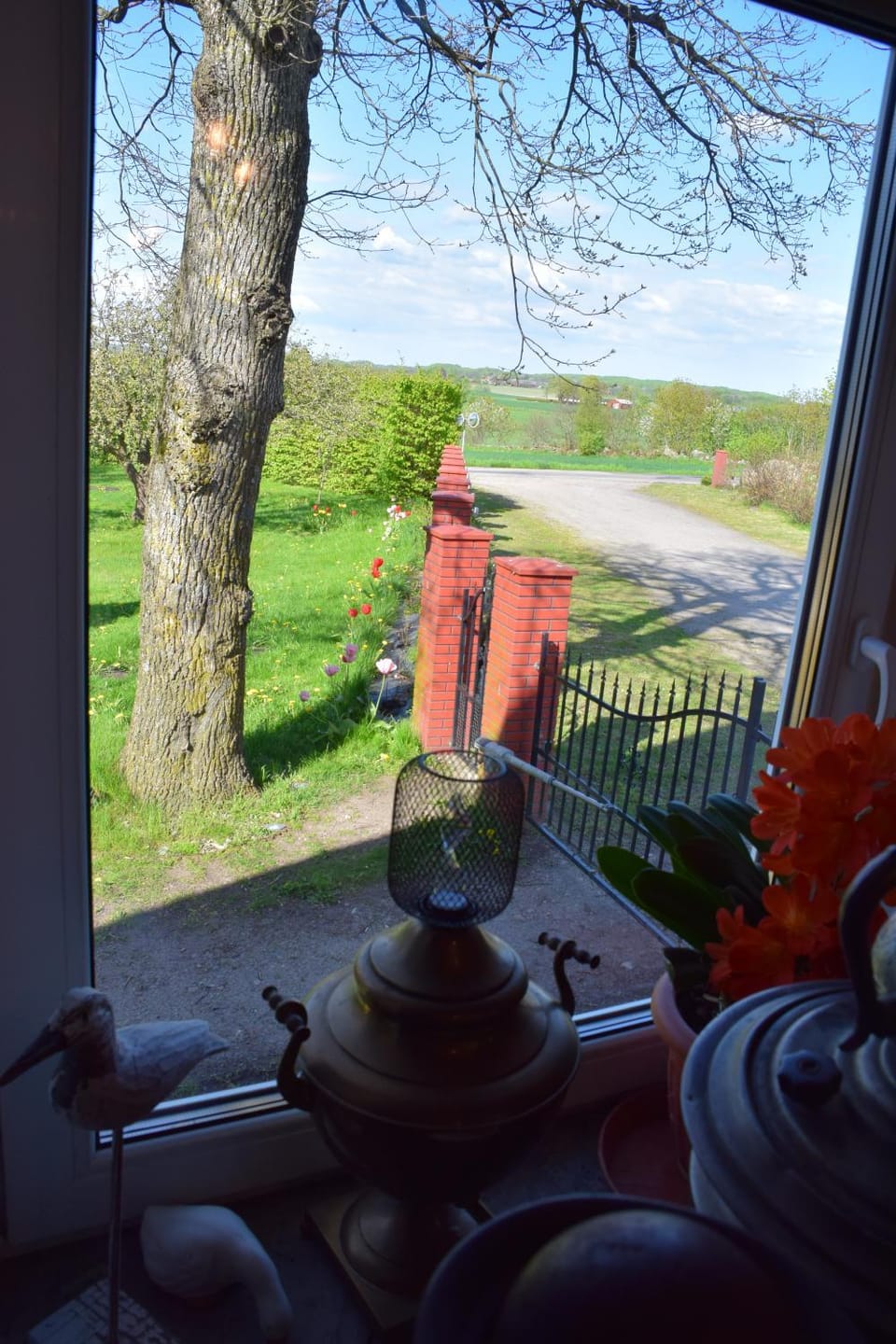 View (from property/room)
