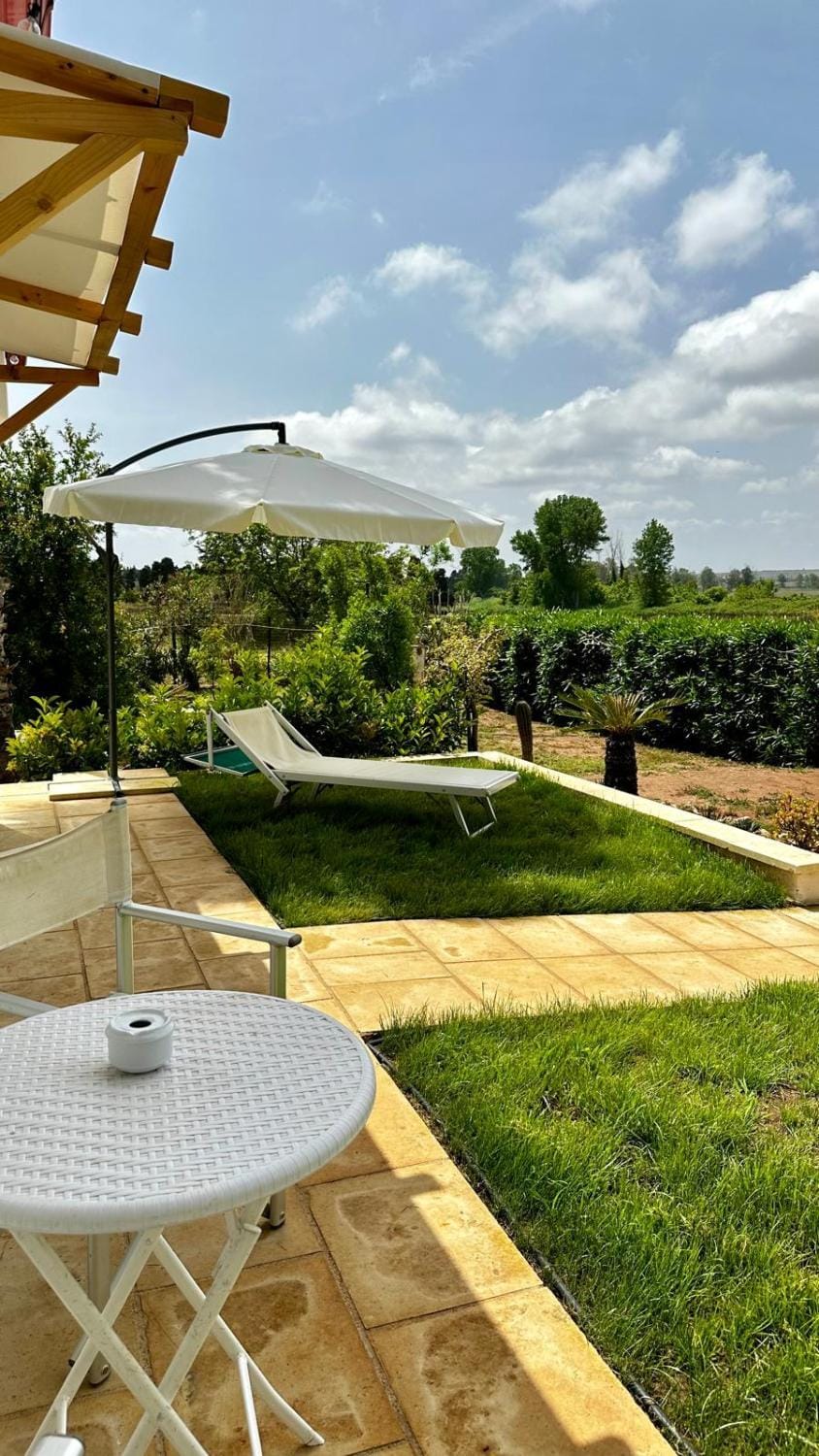 Garden view