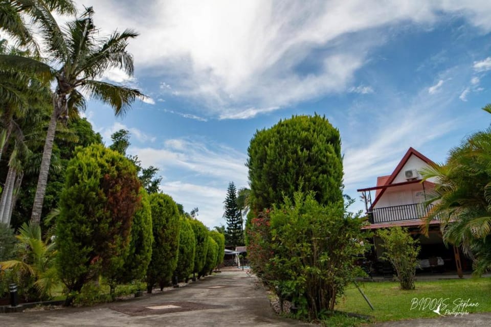 Natural landscape, Garden, Garden view