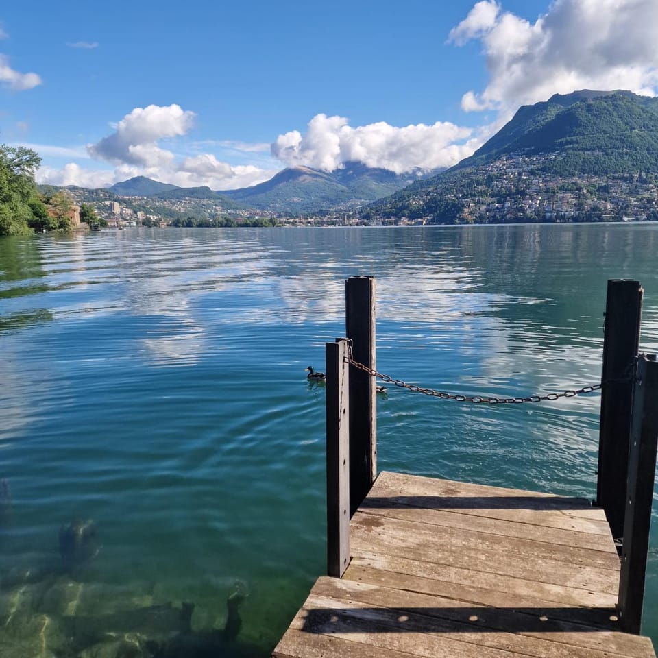Lake view