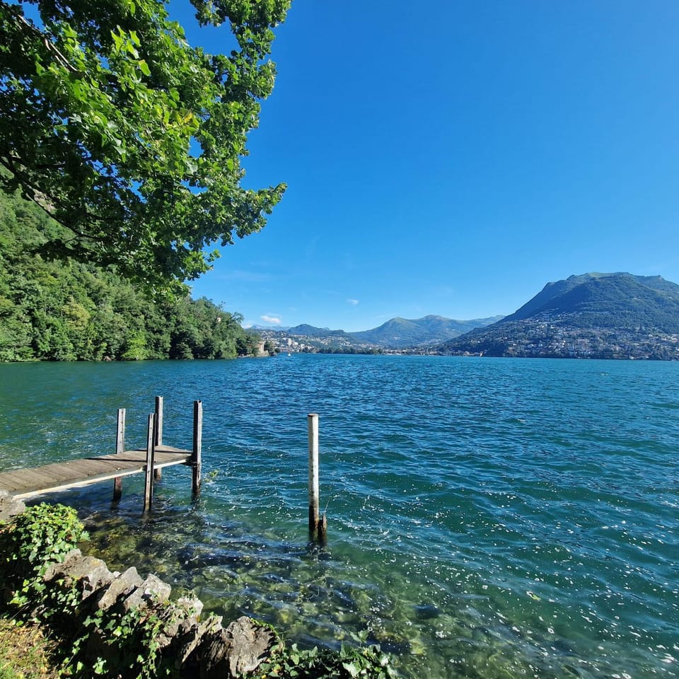 Lake view
