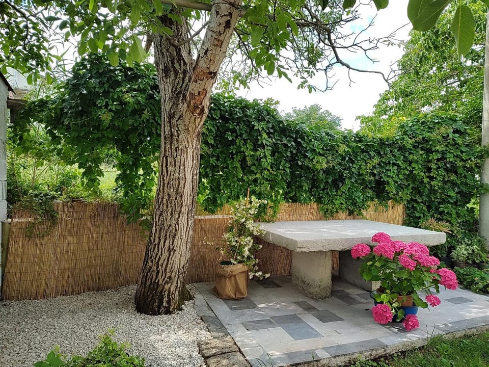 Garden, Garden view