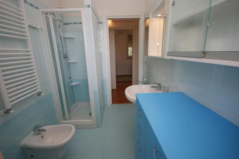 Shower, Toilet, Bathroom, bidet