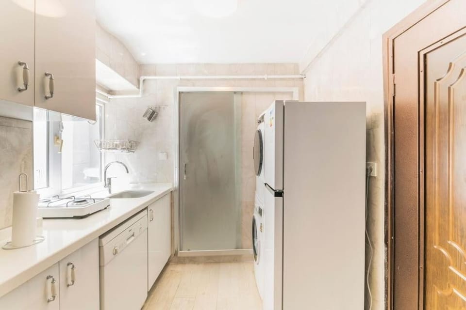 Kitchen or kitchenette, dishwasher