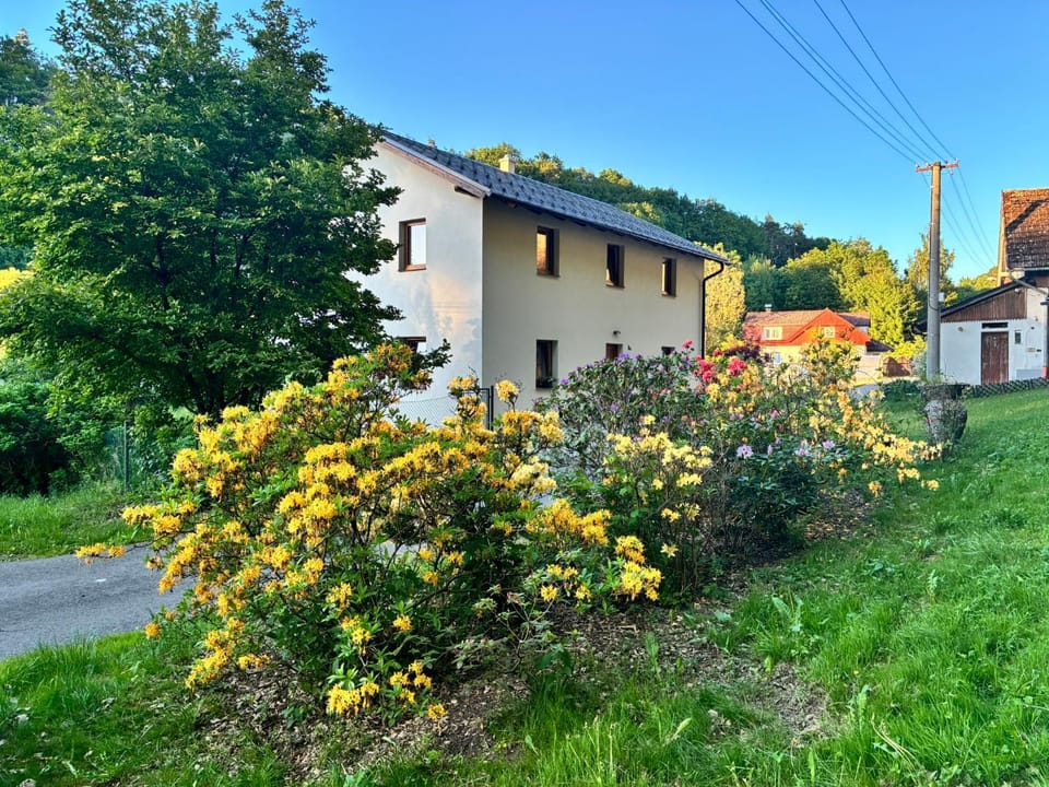 Property building, Spring, Garden