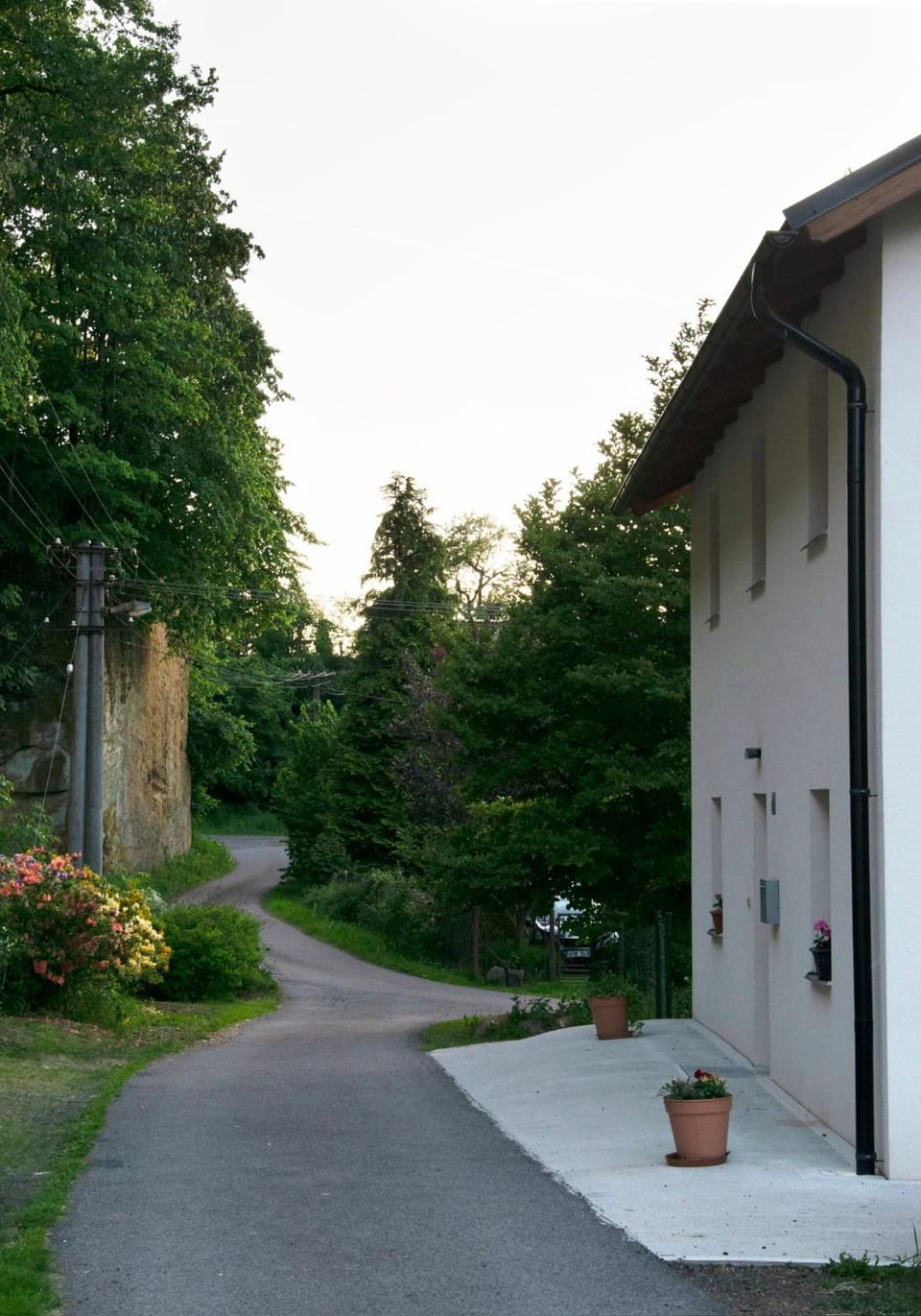Neighbourhood, Garden view
