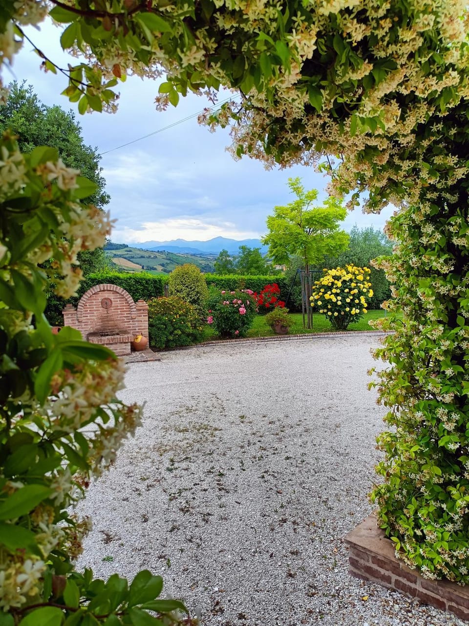 Garden view