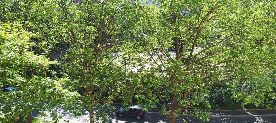 Spring, Day, Garden, Text overlay, Garden view