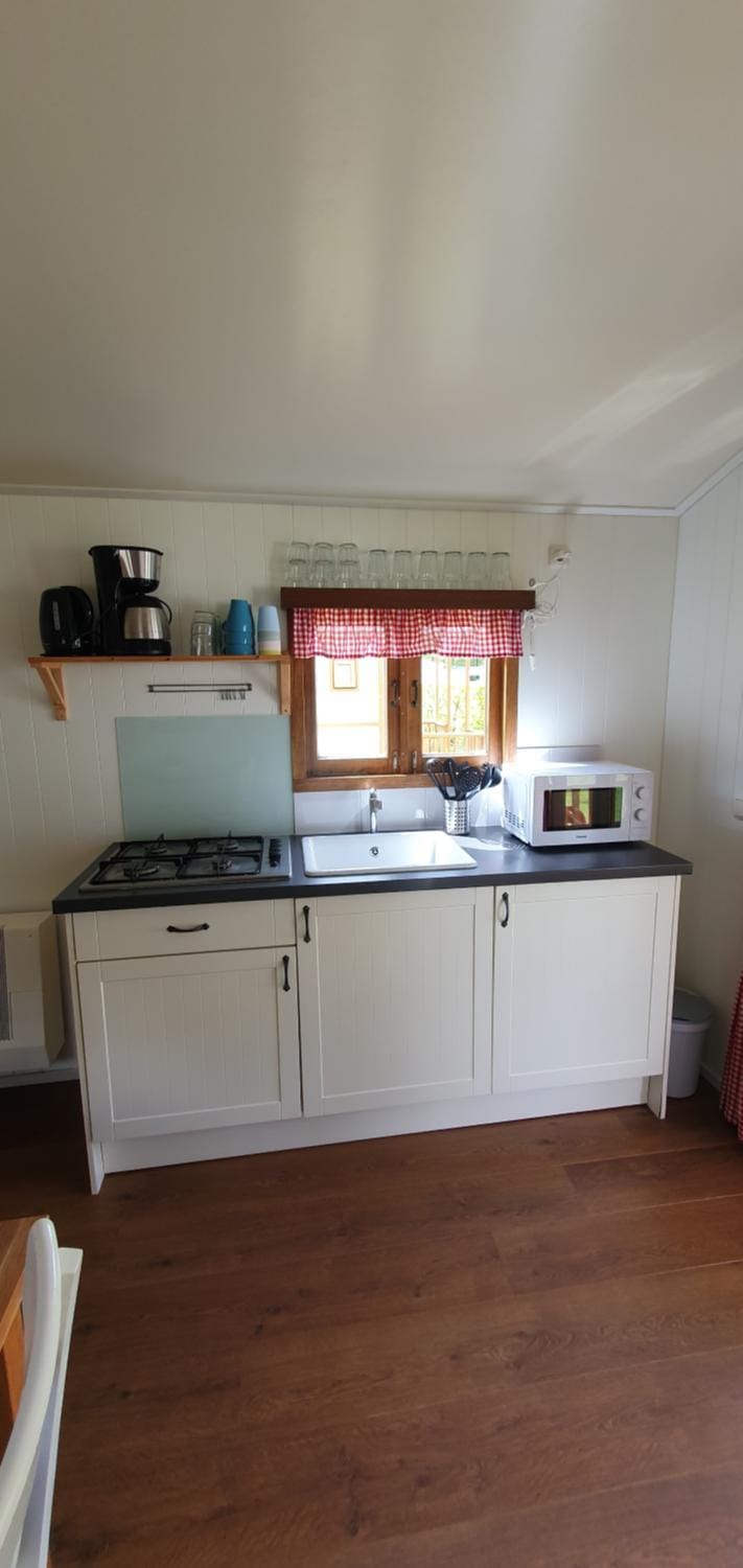 Coffee/tea facilities, Kitchen or kitchenette, microwave, stove, toaster