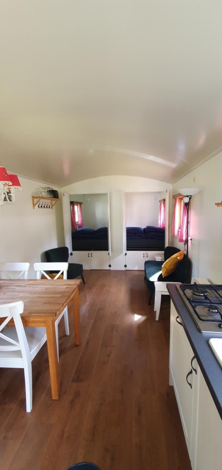 Kitchen or kitchenette, Living room, Seating area, Dining area, stove