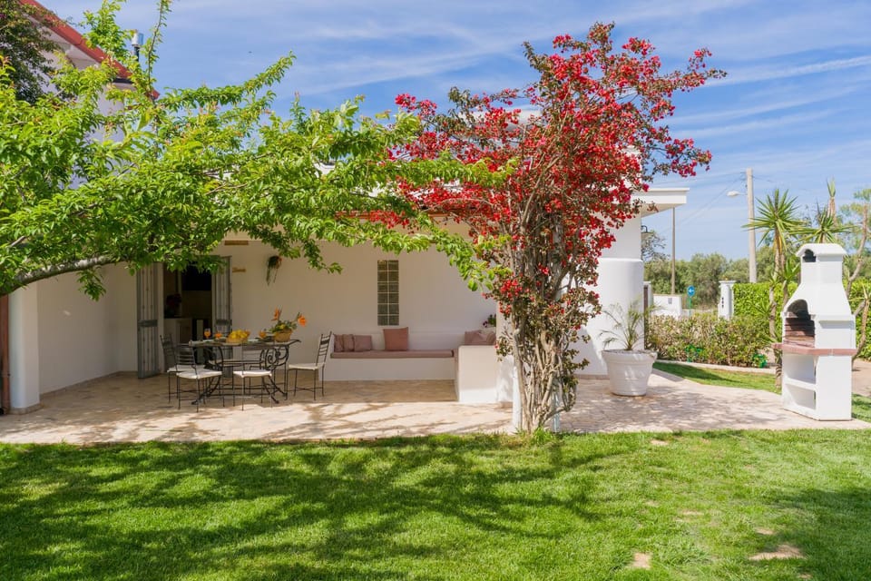Property building, Garden