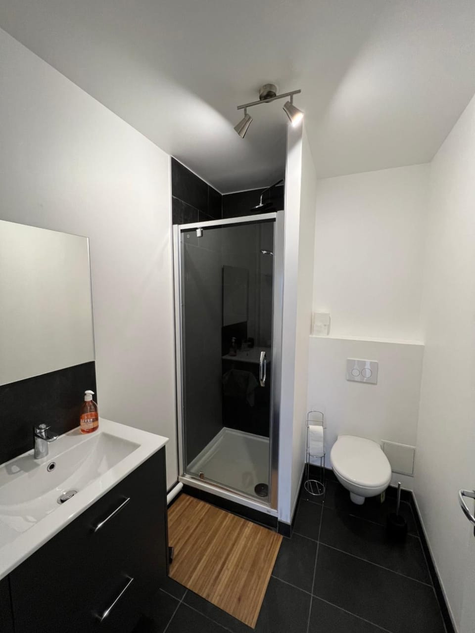 Shower, Toilet
