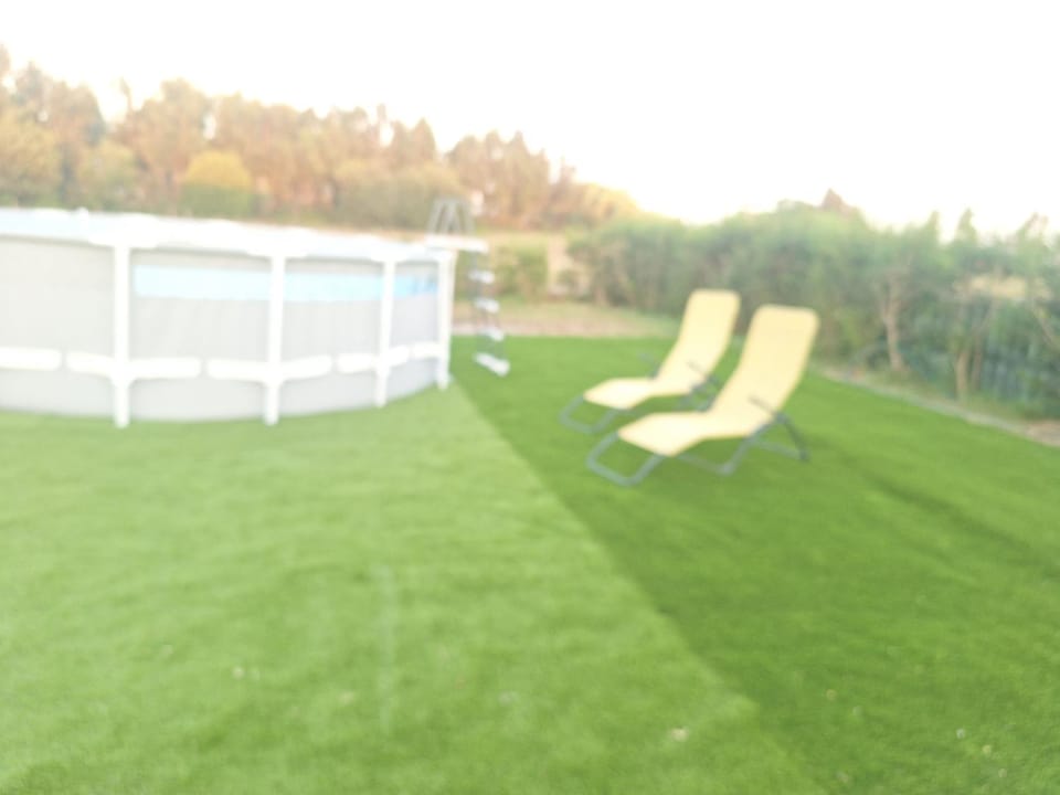 Garden view, sunbed