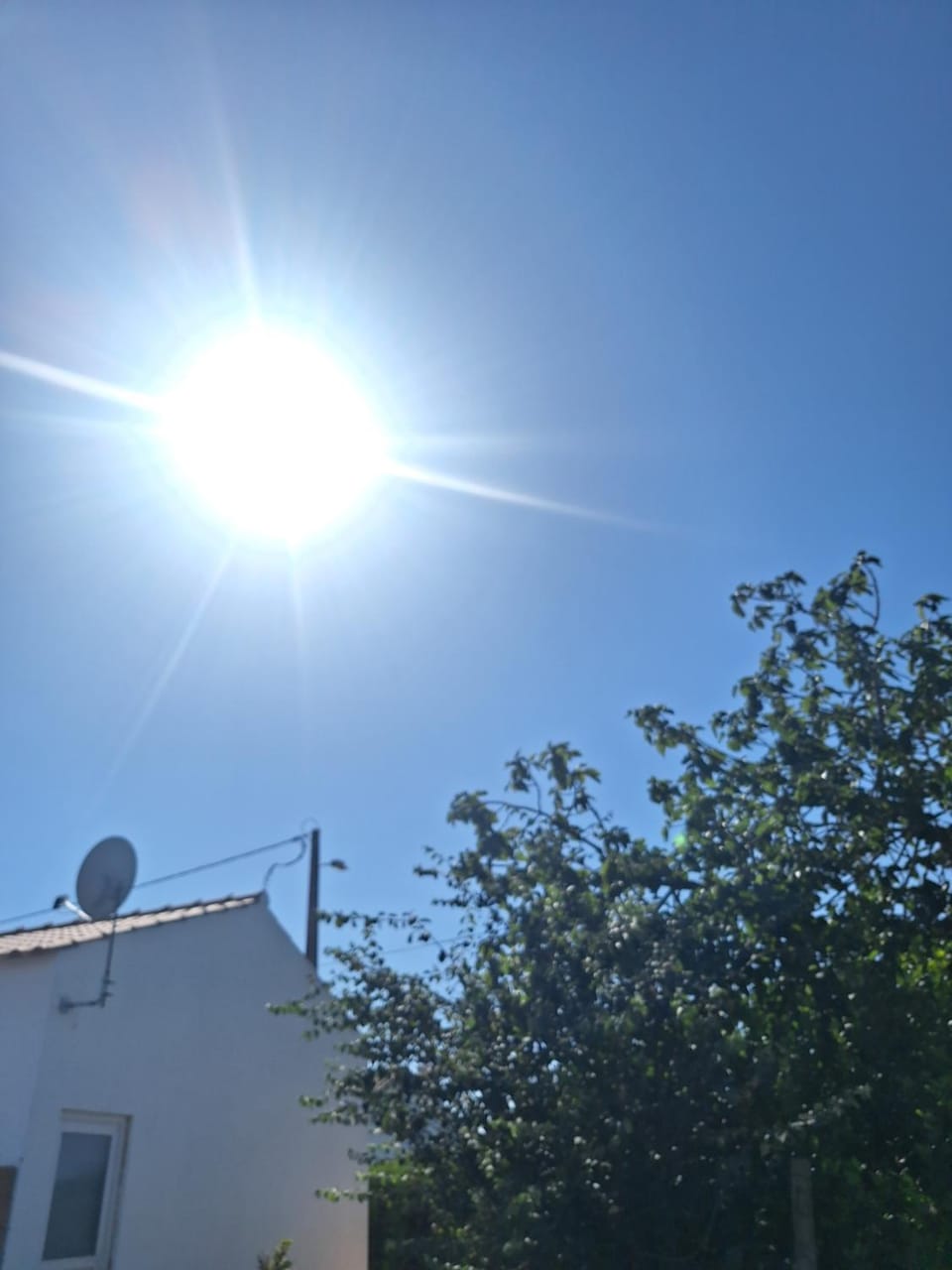Day