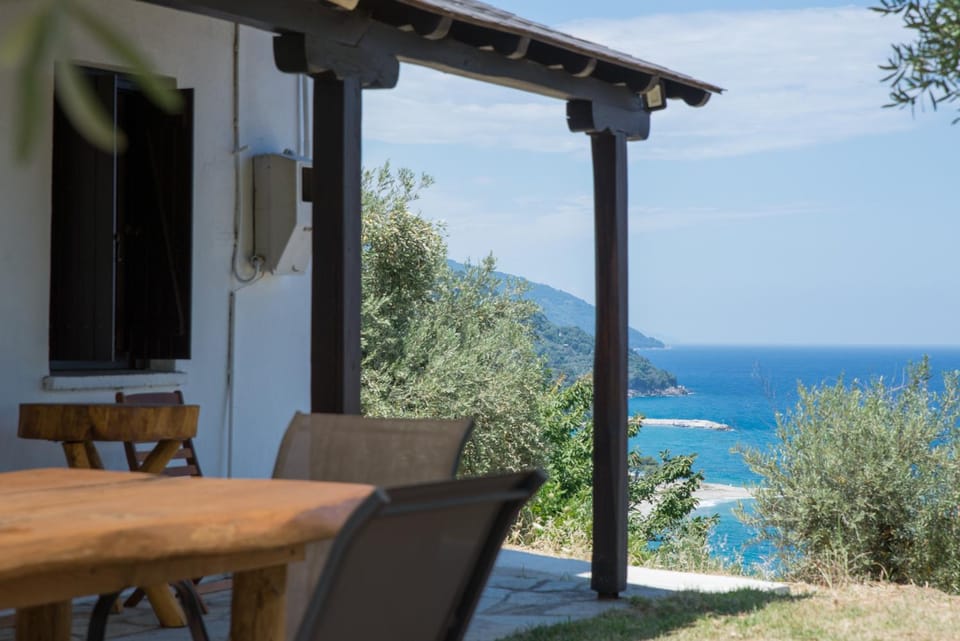 Patio, Day, Natural landscape, View (from property/room)