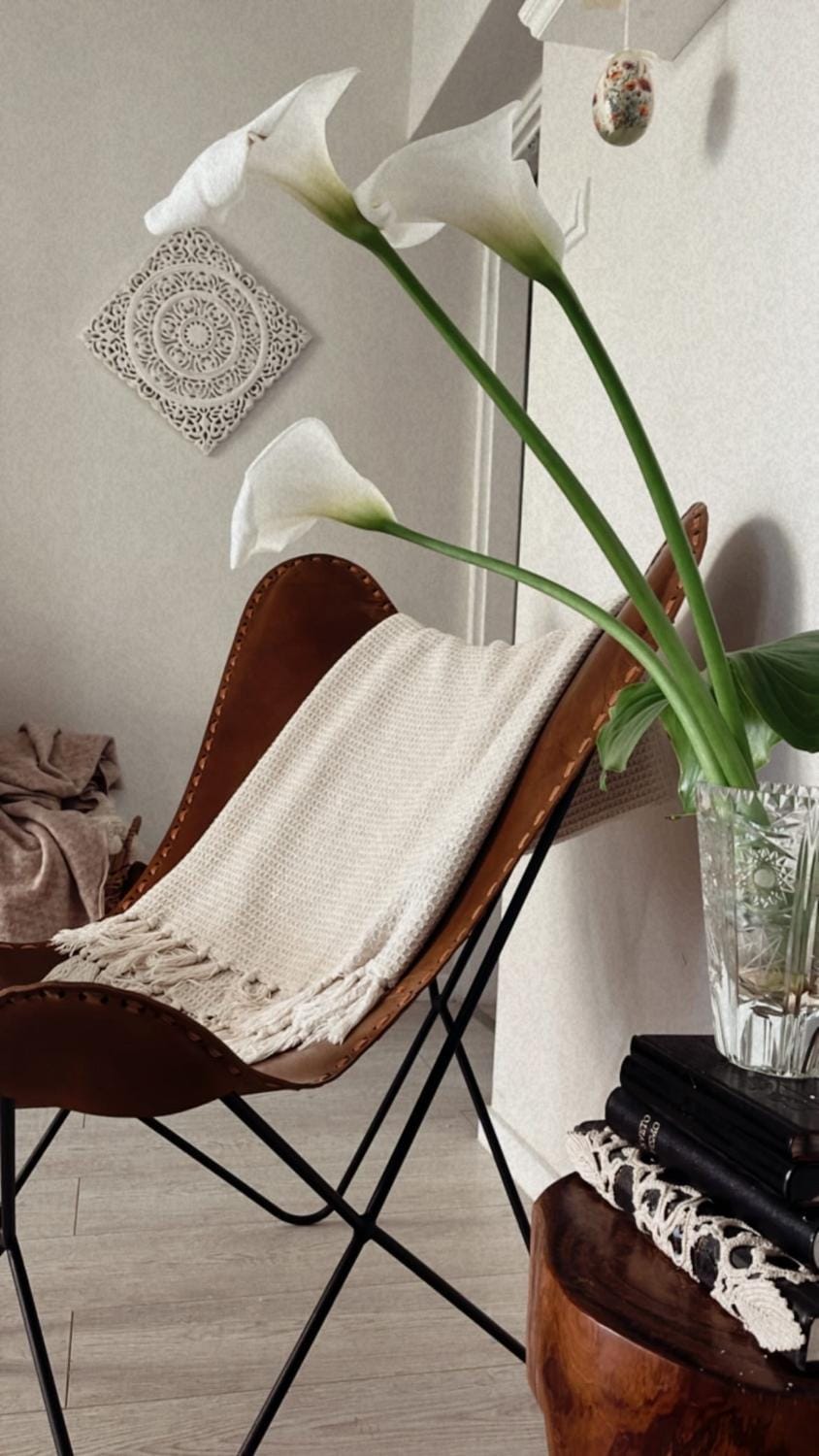 House of Rosalia Apartment in Rovinj