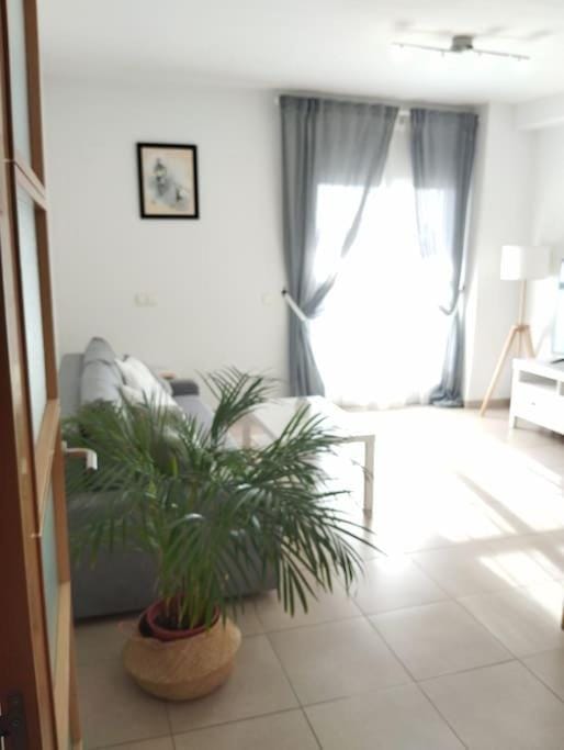 Bed, Living room, Photo of the whole room, Seating area