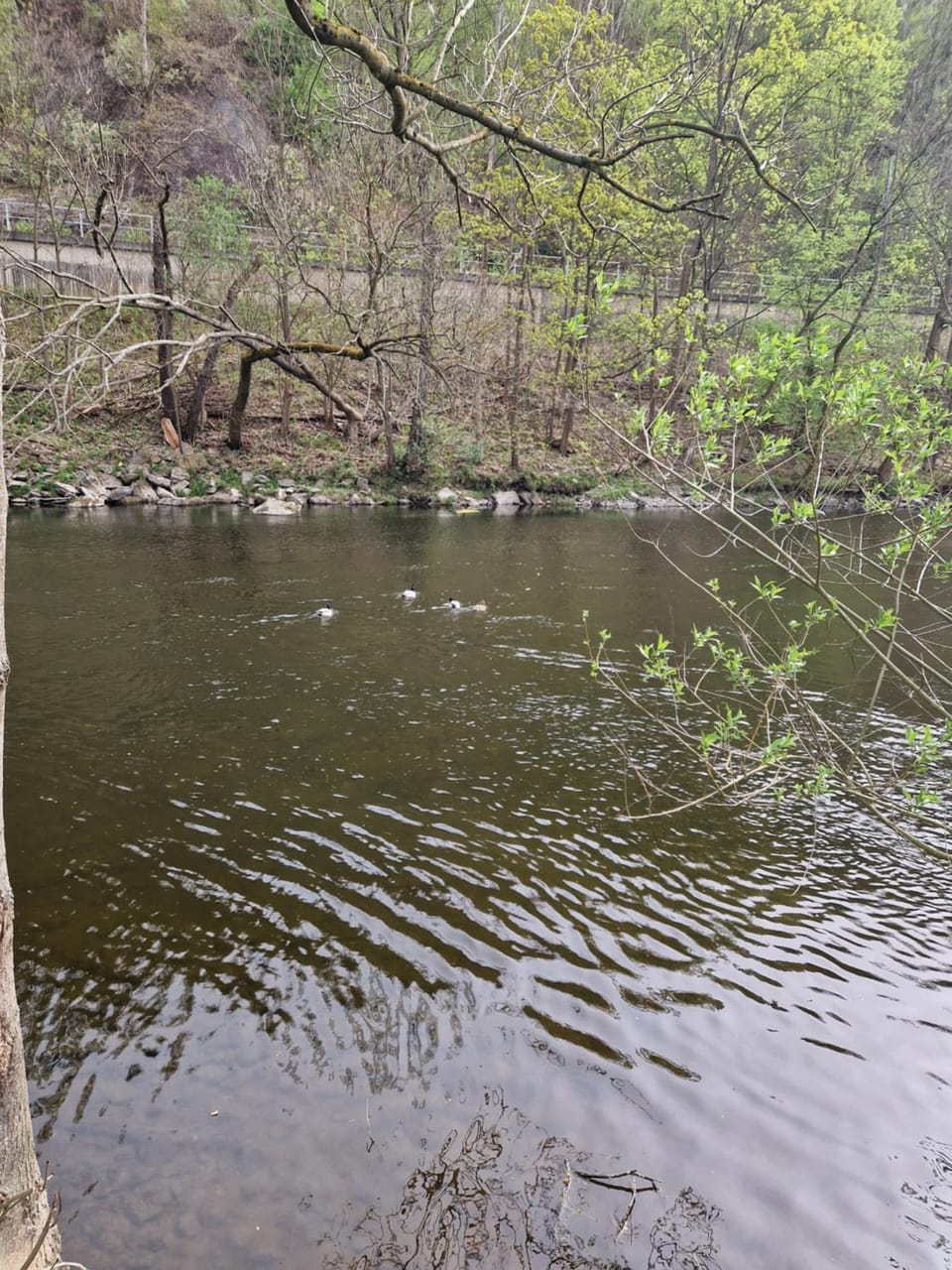 River view
