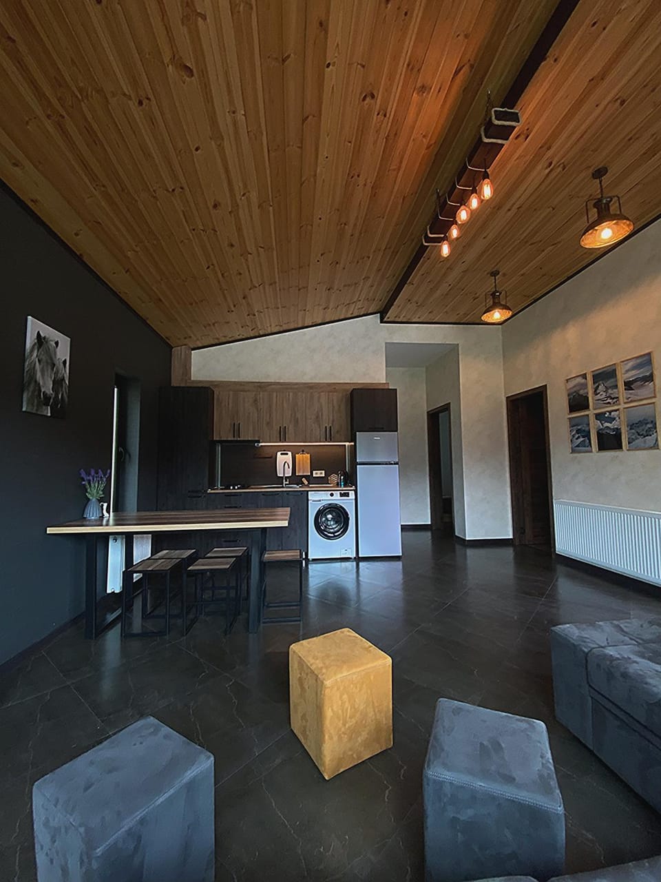 Living room, kitchen