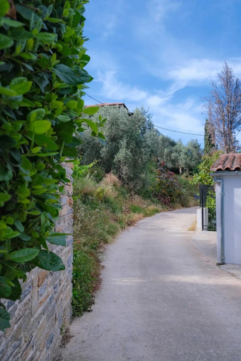 Rosemary Studio Apartment in Magnesia Prefecture, Greece