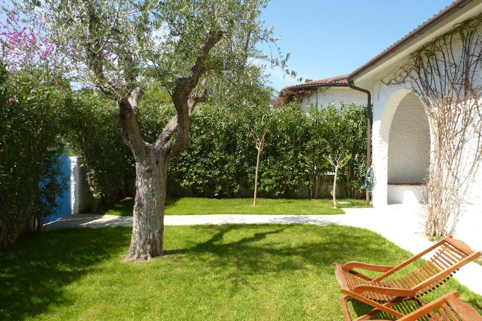 Patio, Garden, Garden view