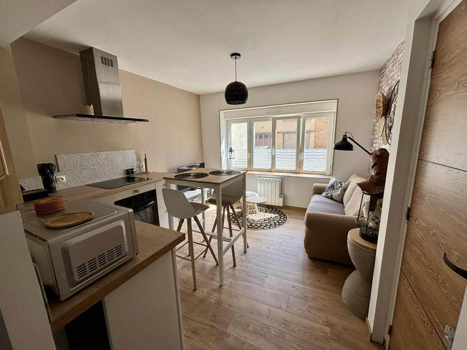 Le Jardin des Plantes Apartment in Calais