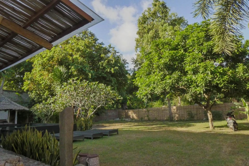 Natural landscape, Garden, Garden view