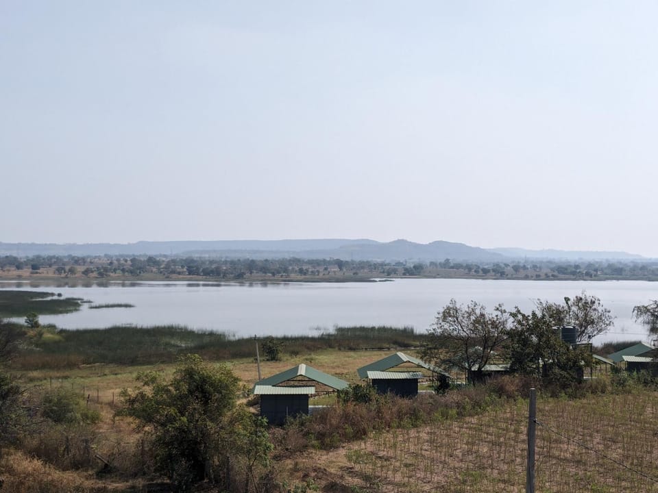 Lake view