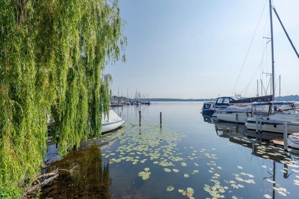 Lake view