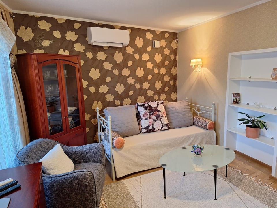 Living room, Photo of the whole room, Seating area, air conditioner