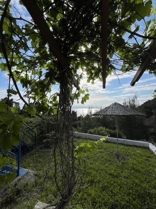 Vista del Mar House-Perfect for Families & Couples House in Halkidiki