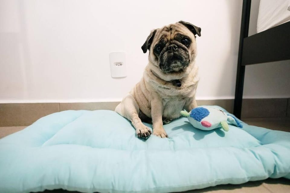 Pets