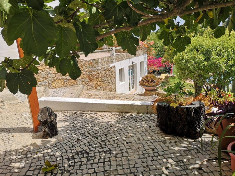 Casa de Pedra e Cal Bed and Breakfast in Faro District