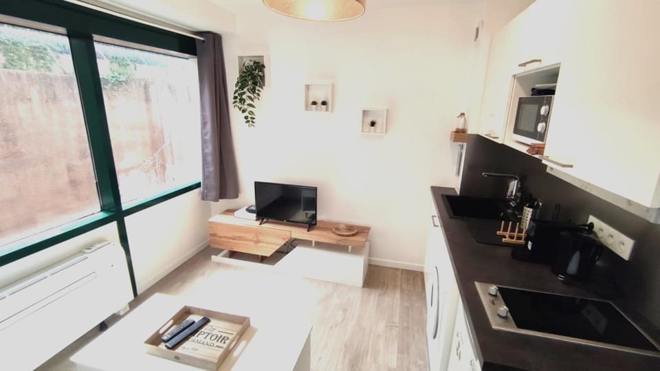 Dana centre mer 25 Apartment in Nice