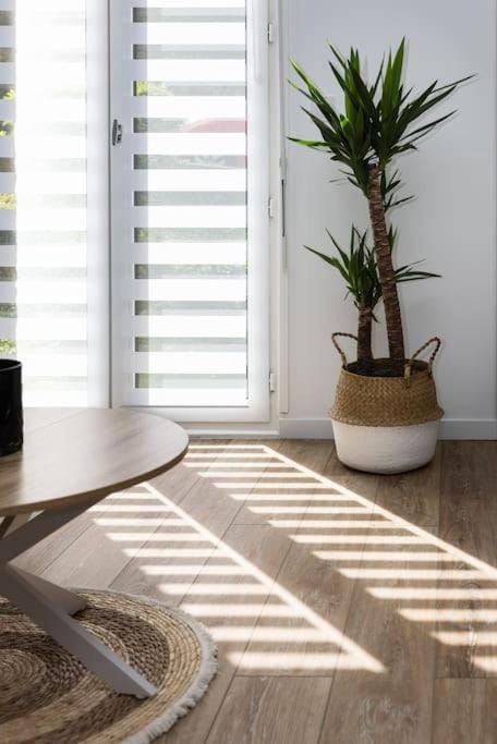 Chartres - Le Saint Pierre Apartment in Chartres