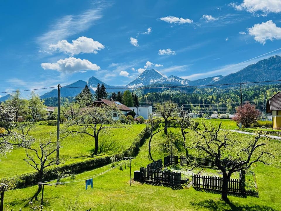 Natural landscape, Garden, Mountain view